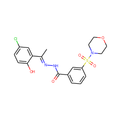 C/C(=N\NC(=O)c1cccc(S(=O)(=O)N2CCOCC2)c1)c1cc(Cl)ccc1O ZINC000057407777