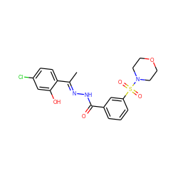 C/C(=N\NC(=O)c1cccc(S(=O)(=O)N2CCOCC2)c1)c1ccc(Cl)cc1O ZINC000103299518