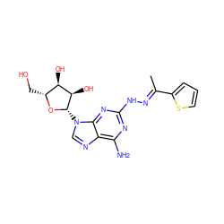 C/C(=N\Nc1nc(N)c2ncn([C@@H]3O[C@H](CO)[C@@H](O)[C@H]3O)c2n1)c1cccs1 ZINC000012405506