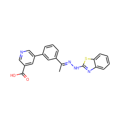 C/C(=N\Nc1nc2ccccc2s1)c1cccc(-c2cncc(C(=O)O)c2)c1 ZINC000096272583