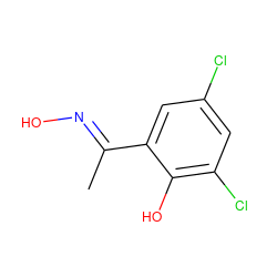 C/C(=N\O)c1cc(Cl)cc(Cl)c1O ZINC000017863163