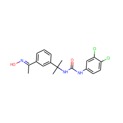 C/C(=N\O)c1cccc(C(C)(C)NC(=O)Nc2ccc(Cl)c(Cl)c2)c1 ZINC000218928188