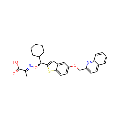 C/C(=N\O[C@H](c1cc2cc(OCc3ccc4ccccc4n3)ccc2s1)C1CCCCC1)C(=O)O ZINC000013557896