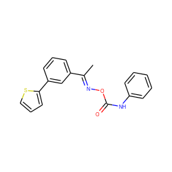 C/C(=N\OC(=O)Nc1ccccc1)c1cccc(-c2cccs2)c1 ZINC000058487725