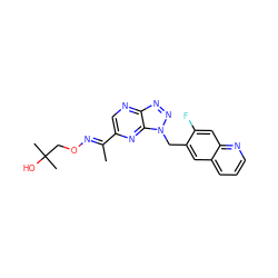 C/C(=N\OCC(C)(C)O)c1cnc2nnn(Cc3cc4cccnc4cc3F)c2n1 ZINC000096170320