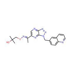 C/C(=N\OCC(C)(C)O)c1cnc2nnn(Cc3ccc4ncccc4c3)c2n1 ZINC000096170335