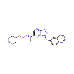 C/C(=N\OCC1CCNCC1)c1cnc2nnn(Cc3ccc4ncccc4c3)c2n1 ZINC000096170332