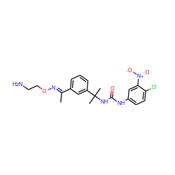 C/C(=N\OCCN)c1cccc(C(C)(C)NC(=O)Nc2ccc(Cl)c([N+](=O)[O-])c2)c1 ZINC000095574545