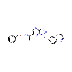 C/C(=N\OCc1ccccc1)c1cnc2nnn(Cc3ccc4ncccc4c3)c2n1 ZINC000096170329