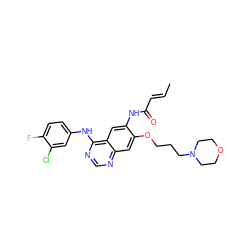 C/C=C/C(=O)Nc1cc2c(Nc3ccc(F)c(Cl)c3)ncnc2cc1OCCCN1CCOCC1 ZINC001772646772