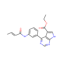 C/C=C/C(=O)Nc1cccc(-c2ncnc3[nH]cc(C(=O)OCC)c23)c1 ZINC000218986730