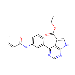 C/C=C\C(=O)Nc1cccc(-c2ncnc3[nH]cc(C(=O)OCC)c23)c1 ZINC000261096974