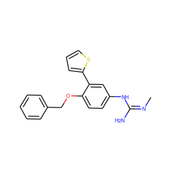 C/N=C(/N)Nc1ccc(OCc2ccccc2)c(-c2cccs2)c1 ZINC000028015066