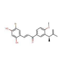 C=C(C)[C@@H](C)c1cc(C(=O)/C=C/c2cc(Br)c(O)cc2O)ccc1OC ZINC000071332709