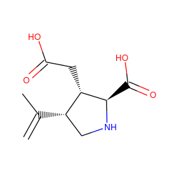 C=C(C)[C@H]1CN[C@H](C(=O)O)[C@H]1CC(=O)O ZINC000003995575