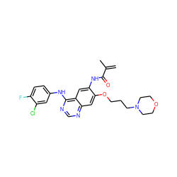 C=C(C)C(=O)Nc1cc2c(Nc3ccc(F)c(Cl)c3)ncnc2cc1OCCCN1CCOCC1 ZINC001772638368