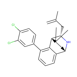 C=C(C)C[C@@H]1N[C@H]2CC(C)(C)[C@@H]1c1c(-c3ccc(Cl)c(Cl)c3)cccc12 ZINC000221061444