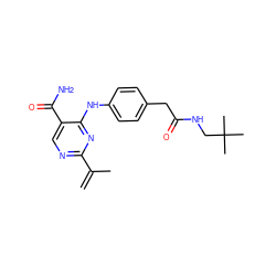 C=C(C)c1ncc(C(N)=O)c(Nc2ccc(CC(=O)NCC(C)(C)C)cc2)n1 ZINC000096938267