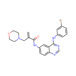 C=C(CN1CCOCC1)C(=O)Nc1ccc2ncnc(Nc3cccc(Br)c3)c2c1 ZINC000013863681