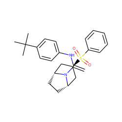 C=C(Nc1ccc(C(C)(C)C)cc1)N1[C@H]2CC[C@@H]1C[C@@H](S(=O)(=O)c1ccccc1)C2 ZINC000253805206