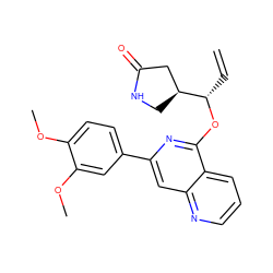 C=C[C@H](Oc1nc(-c2ccc(OC)c(OC)c2)cc2ncccc12)[C@H]1CNC(=O)C1 ZINC000141938101