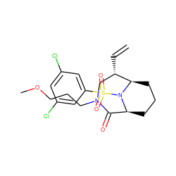 C=C[C@H]1CN(CCCOC)C(=O)[C@@H]2CCC[C@H]1N2S(=O)(=O)c1cc(Cl)cc(Cl)c1 ZINC001772635830