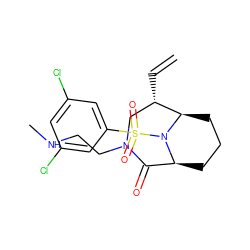 C=C[C@H]1CN(CCNC)C(=O)[C@@H]2CCC[C@H]1N2S(=O)(=O)c1cc(Cl)cc(Cl)c1 ZINC001772603970