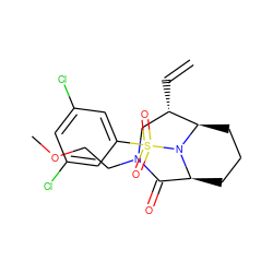 C=C[C@H]1CN(CCOC)C(=O)[C@@H]2CCC[C@H]1N2S(=O)(=O)c1cc(Cl)cc(Cl)c1 ZINC001772634770