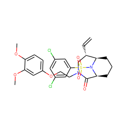 C=C[C@H]1CN(CCOc2ccc(OC)c(OC)c2)C(=O)[C@@H]2CCC[C@H]1N2S(=O)(=O)c1cc(Cl)cc(Cl)c1 ZINC000220243044