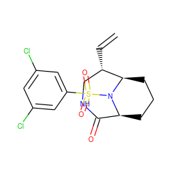 C=C[C@H]1CNC(=O)[C@@H]2CCC[C@H]1N2S(=O)(=O)c1cc(Cl)cc(Cl)c1 ZINC001772657366