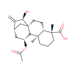 C=C1[C@H]2C[C@H](OC(C)=O)[C@H]3[C@]4(C)CCC[C@@](C)(C(=O)O)[C@H]4CC[C@]3(C2)[C@@H]1O ZINC000101687240