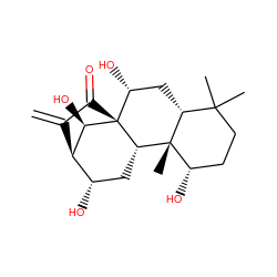 C=C1C(=O)[C@@]23[C@@H](C[C@H](O)[C@@H]1[C@H]2O)[C@@]1(C)[C@@H](O)CCC(C)(C)[C@H]1C[C@H]3O ZINC000008829473