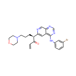 C=CC(=O)[C@@H](CCCN1CCOCC1)c1cc2c(Nc3cccc(Br)c3)ncnc2cn1 ZINC000040980646