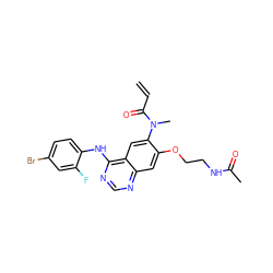 C=CC(=O)N(C)c1cc2c(Nc3ccc(Br)cc3F)ncnc2cc1OCCNC(C)=O ZINC000137823520