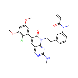 C=CC(=O)N(C)c1cccc(CCn2c(=O)c(-c3cc(OC)cc(OC)c3Cl)cc3cnc(NC)nc32)c1 ZINC000220352499