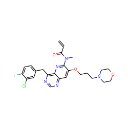 C=CC(=O)N(C)c1nc2c(Cc3ccc(F)c(Cl)c3)ncnc2cc1OCCCN1CCOCC1 ZINC000040950978