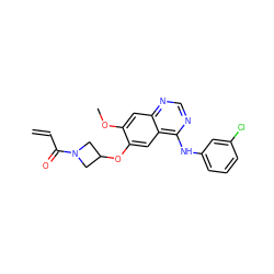 C=CC(=O)N1CC(Oc2cc3c(Nc4cccc(Cl)c4)ncnc3cc2OC)C1 ZINC000141627327