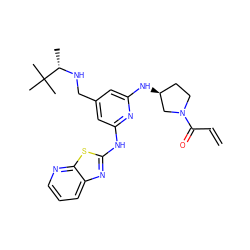 C=CC(=O)N1CC[C@H](Nc2cc(CN[C@@H](C)C(C)(C)C)cc(Nc3nc4cccnc4s3)n2)C1 ZINC000199874026