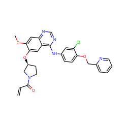 C=CC(=O)N1CC[C@H](Oc2cc3c(Nc4ccc(OCc5ccccn5)c(Cl)c4)ncnc3cc2OC)C1 ZINC000141540378