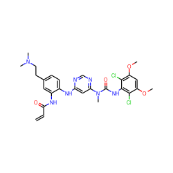 C=CC(=O)Nc1cc(CCN(C)C)ccc1Nc1cc(N(C)C(=O)Nc2c(Cl)c(OC)cc(OC)c2Cl)ncn1 ZINC001772632606