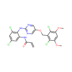 C=CC(=O)Nc1cc(Cl)cc(Cl)c1Nc1ncc(OCc2c(Cl)c(OC)cc(OC)c2Cl)cn1 ZINC001772584246