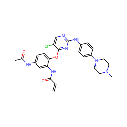 C=CC(=O)Nc1cc(NC(C)=O)ccc1Oc1nc(Nc2ccc(N3CCN(C)CC3)cc2)ncc1Cl ZINC001772606947