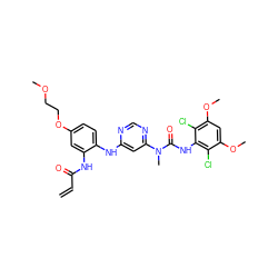 C=CC(=O)Nc1cc(OCCOC)ccc1Nc1cc(N(C)C(=O)Nc2c(Cl)c(OC)cc(OC)c2Cl)ncn1 ZINC001772647743