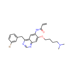 C=CC(=O)Nc1cc2c(Cc3cccc(Br)c3)ncnc2cc1OCCCCN(C)C ZINC000040900511