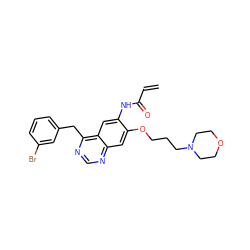 C=CC(=O)Nc1cc2c(Cc3cccc(Br)c3)ncnc2cc1OCCCN1CCOCC1 ZINC000040900509