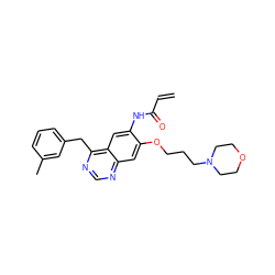 C=CC(=O)Nc1cc2c(Cc3cccc(C)c3)ncnc2cc1OCCCN1CCOCC1 ZINC000045495812