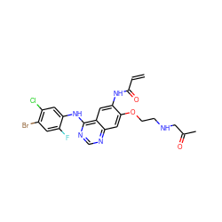 C=CC(=O)Nc1cc2c(Nc3cc(Cl)c(Br)cc3F)ncnc2cc1OCCNCC(C)=O ZINC000143005418