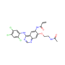 C=CC(=O)Nc1cc2c(Nc3cc(Cl)c(Cl)cc3Cl)ncnc2cc1OCCNC(C)=O ZINC000143469112