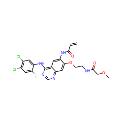 C=CC(=O)Nc1cc2c(Nc3cc(Cl)c(Cl)cc3F)ncnc2cc1OCCNC(=O)COC ZINC000143217992