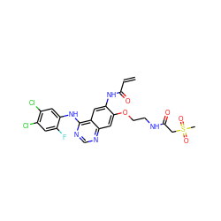 C=CC(=O)Nc1cc2c(Nc3cc(Cl)c(Cl)cc3F)ncnc2cc1OCCNC(=O)CS(C)(=O)=O ZINC000143003646